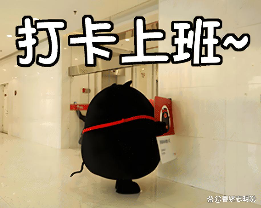 "48次迟到遭解雇：打工人必知的考勤底线"